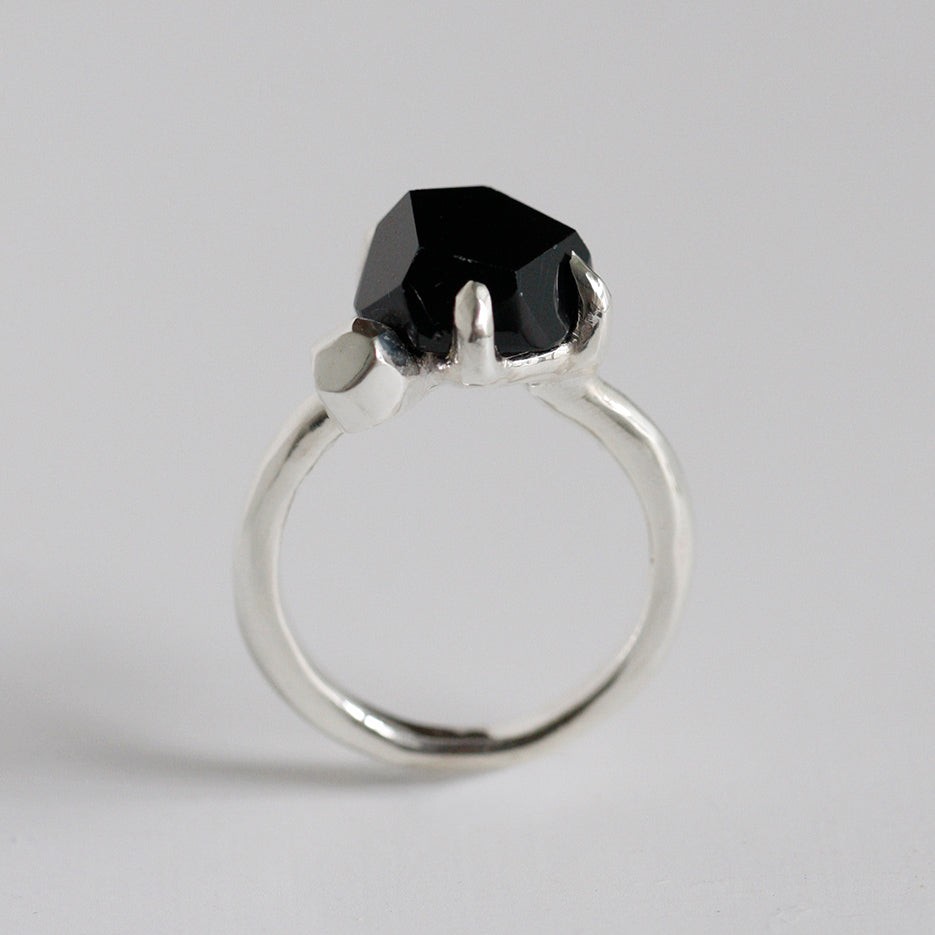 FC-01-0085 BLKSPNL 01