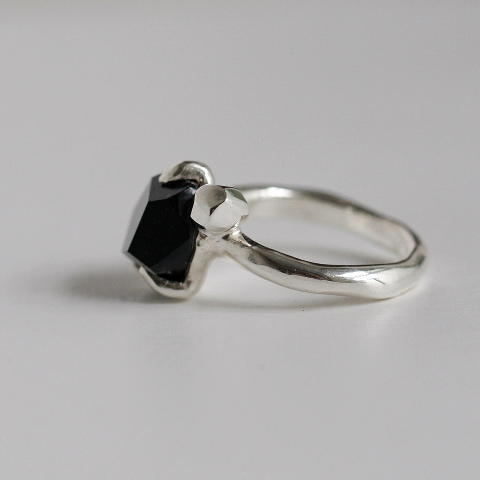 FC-01-0085 BLKSPNL 01
