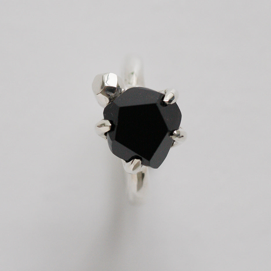FC-01-0085 BLKSPNL 01