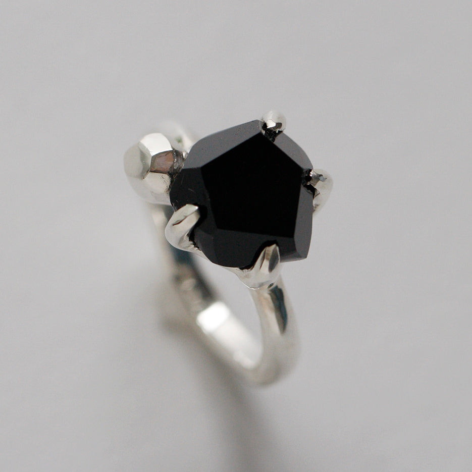 FC-01-0085 BLKSPNL 01