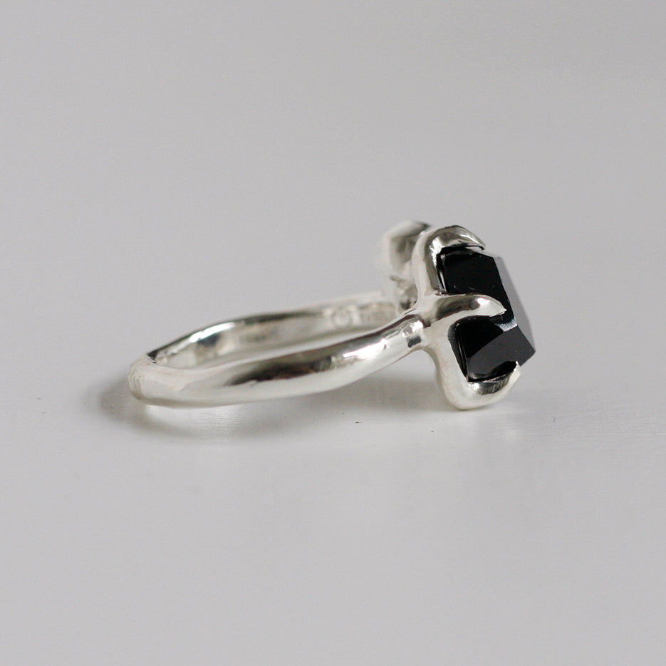 FC-01-0085 BLKSPNL 01